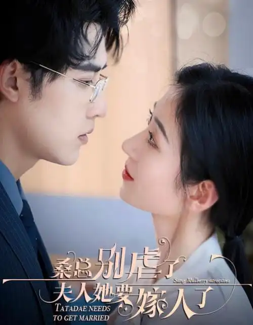 长夜灯火热播电视剧全集在线观看